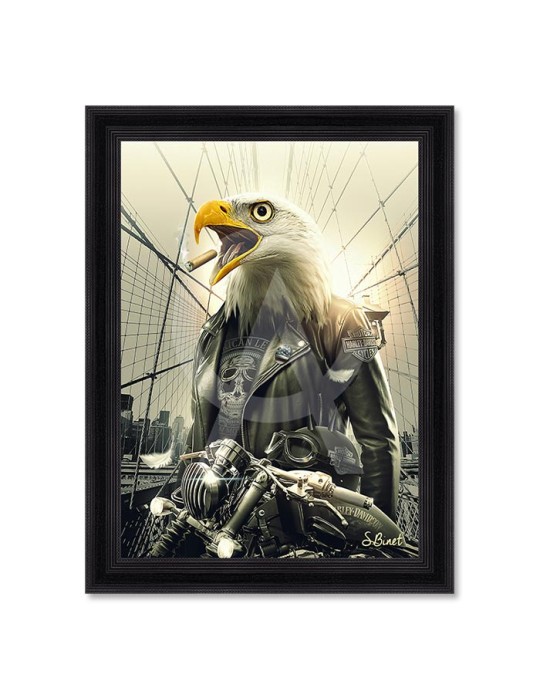 Aigle Moto – Sylvain Binet