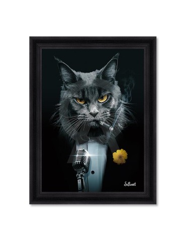 Chat Chanteur – Sylvain Binet