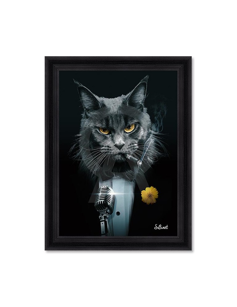 Chat Chanteur – Sylvain Binet Chat Chanteur – Sylvain Binet