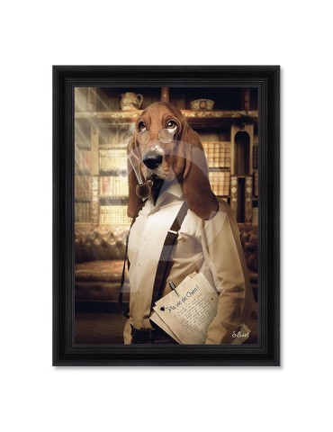 Chien Basset – Sylvain Binet