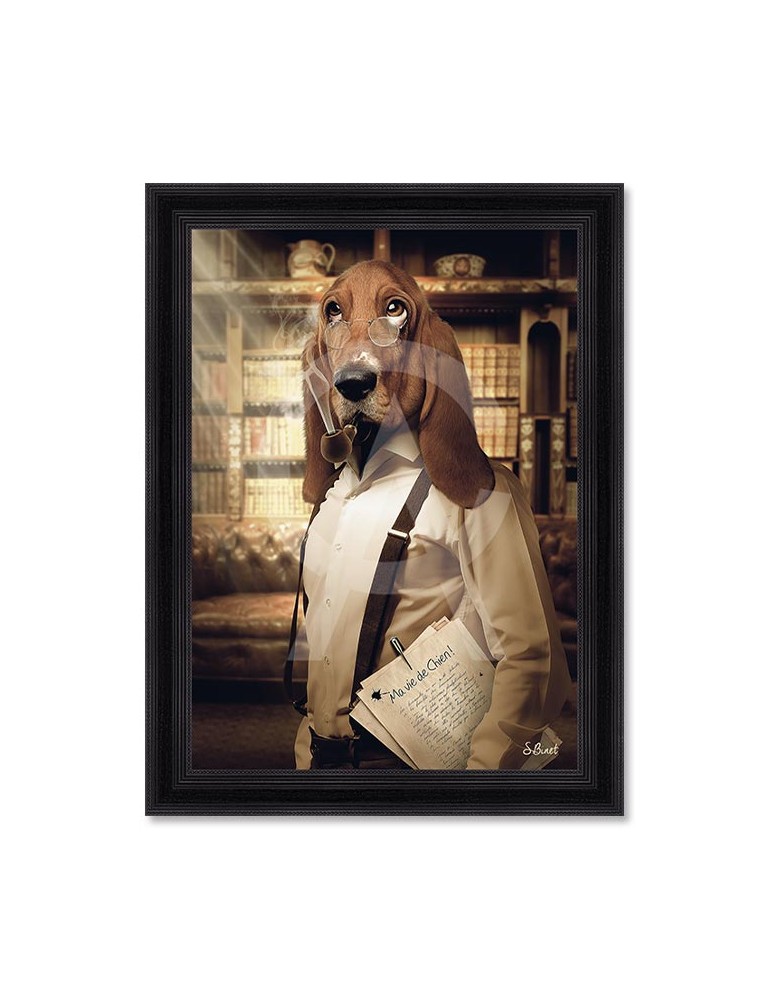 Chien Basset – Sylvain Binet