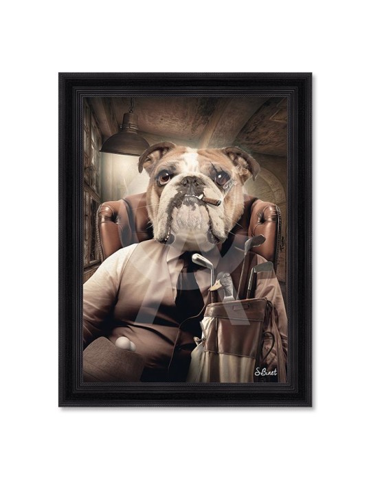 Chien Mafia 2 – Sylvain Binet Chien Mafia 2 – Sylvain Binet