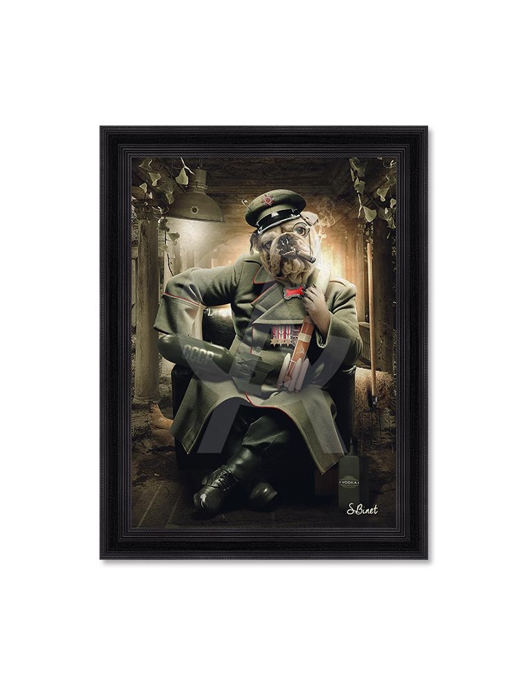 Chien Militaire – Sylvain Binet Chien Militaire – Sylvain Binet