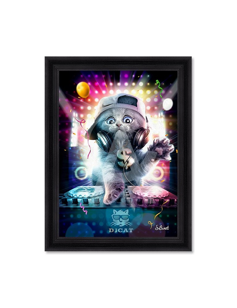 DJ Cat – Sylvain Binet DJ Cat – Sylvain Binet