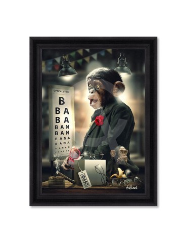 Opticien – Sylvain Binet