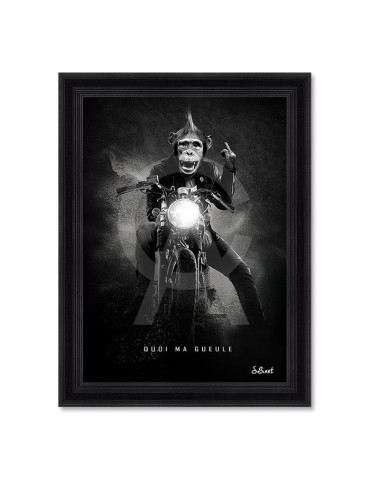 Quoi ma gueule – Sylvain Binet