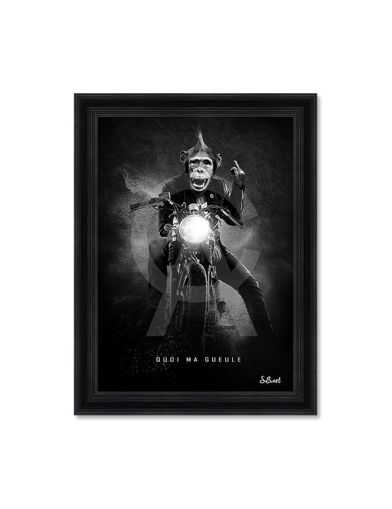 Quoi ma gueule – Sylvain Binet Quoi ma gueule – Sylvain Binet