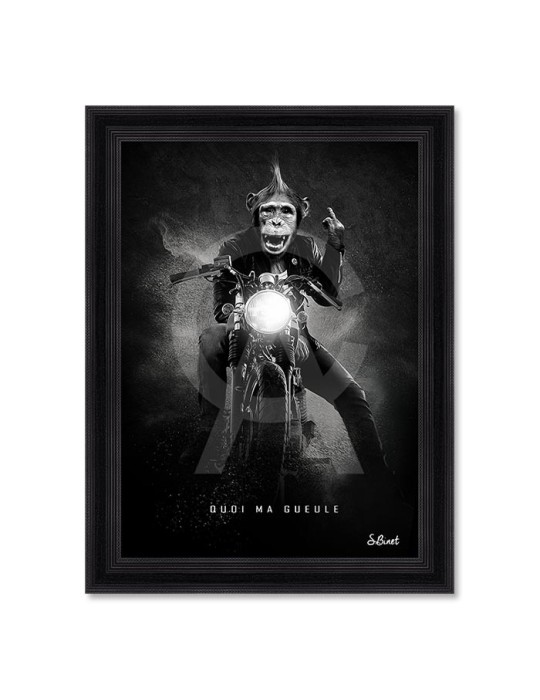 Quoi ma gueule – Sylvain Binet Quoi ma gueule – Sylvain Binet