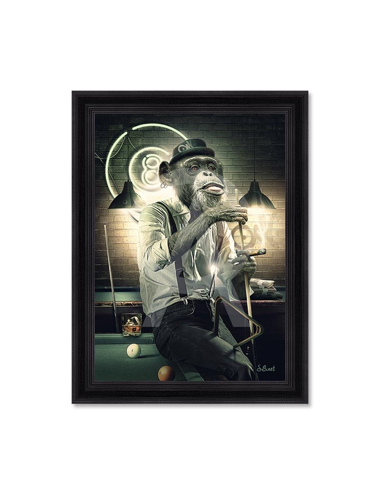 Singe Billard – Sylvain Binet