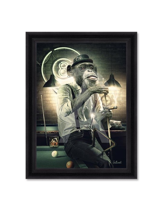 Singe Billard – Sylvain Binet