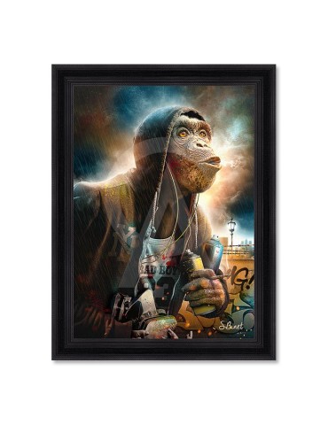 Singe Capuche – Sylvain Binet