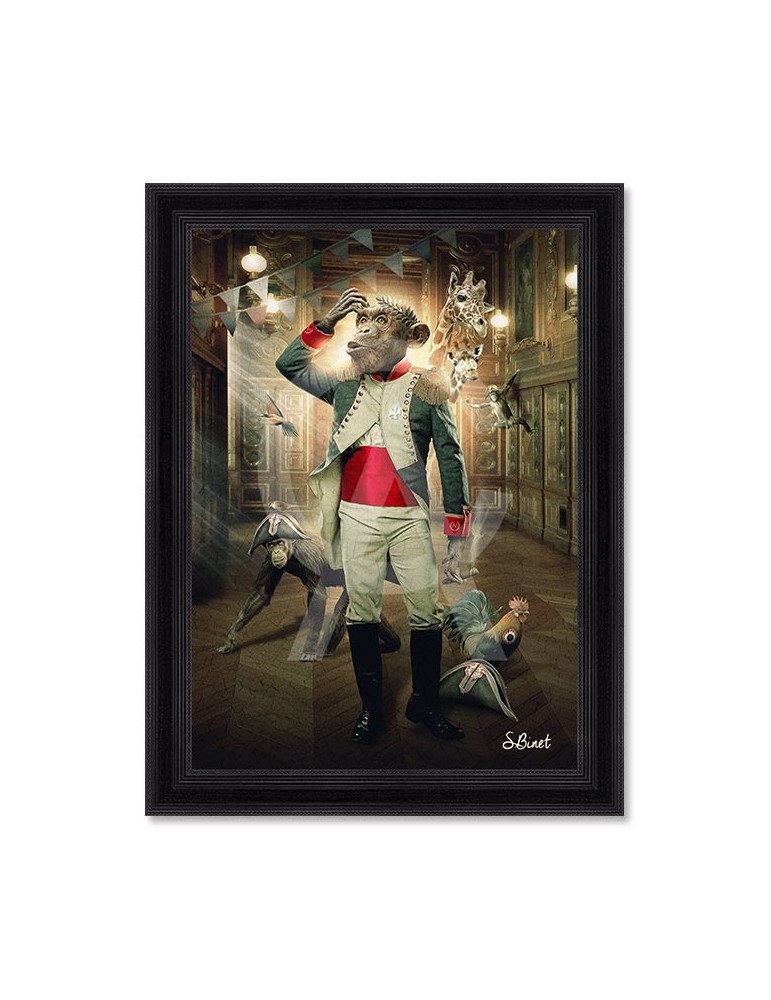 Singe empereur – Sylvain Binet