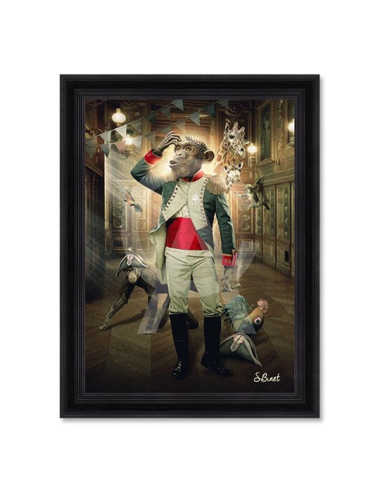 Singe empereur – Sylvain Binet