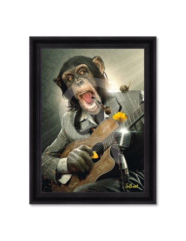 Singe guitare – Sylvain Binet