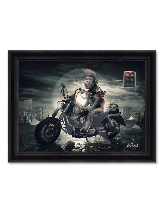 Singe motard – Sylvain Binet Singe motard – Sylvain Binet