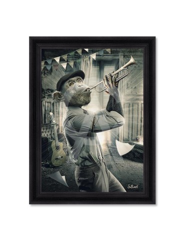 Singe trompette – Sylvain Binet