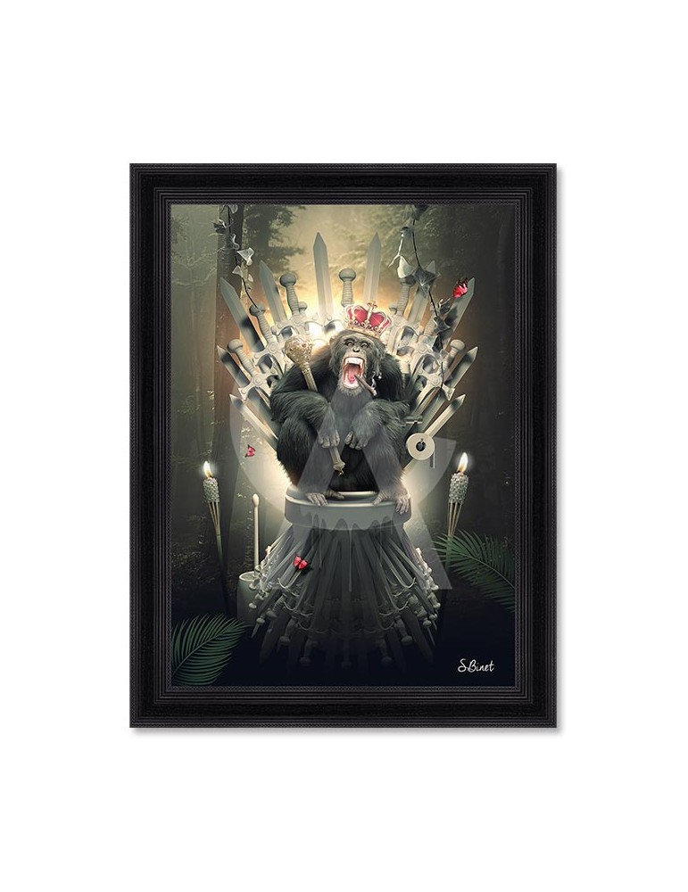 Singe trône – Sylvain Binet Singe trône – Sylvain Binet