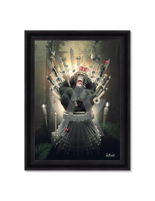 Singe trône – Sylvain Binet Singe trône – Sylvain Binet