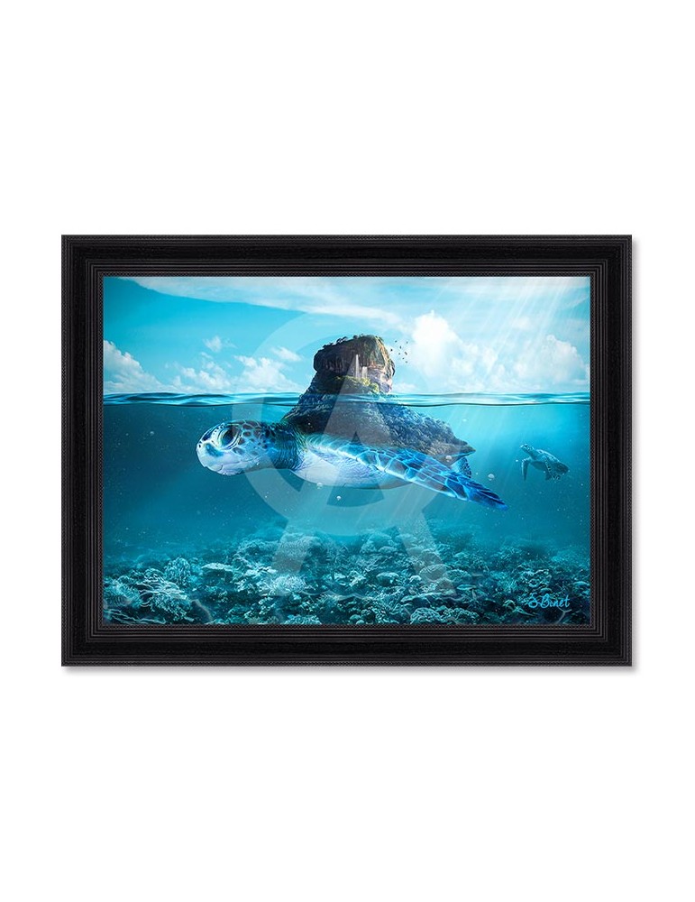 Tortue island – Sylvain Binet Tortue island – Sylvain Binet