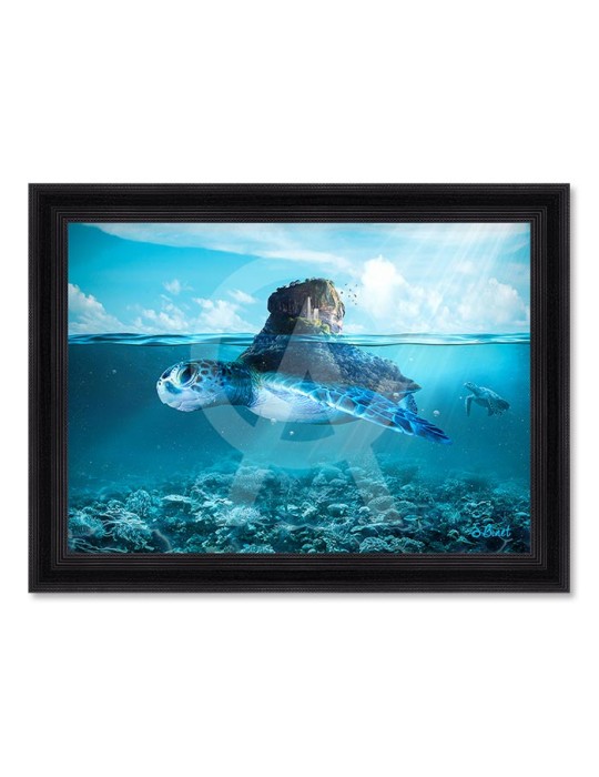 Tortue island – Sylvain Binet Tortue island – Sylvain Binet