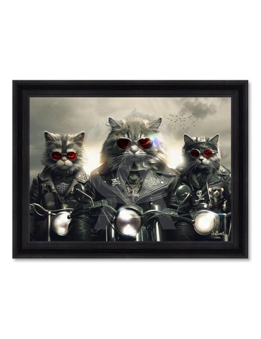 Chats motos – Sylvain Binet