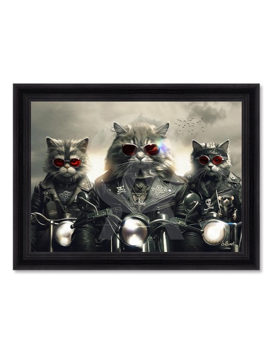 Chats motos – Sylvain Binet Chats motos – Sylvain Binet