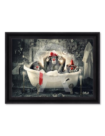 Singes Clowns – Sylvain Binet