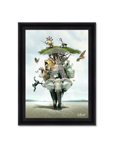 Savane – Sylvain Binet