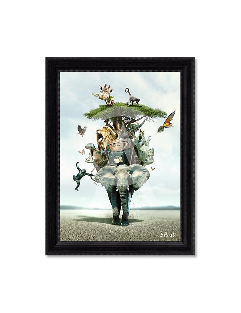 Savane – Sylvain Binet