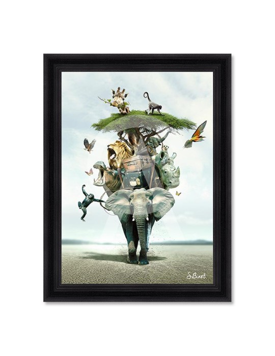 Savane – Sylvain Binet