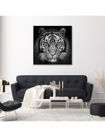 Image encadrée avec gel – 48.176 2