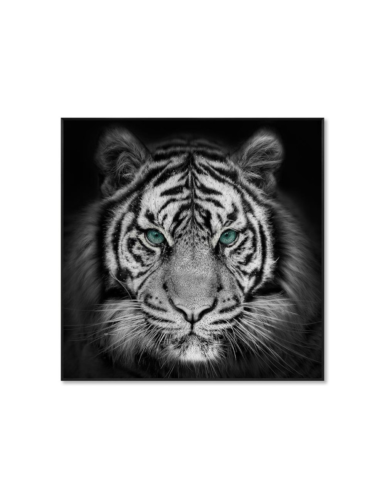 Image encadrée avec gel – 48.176