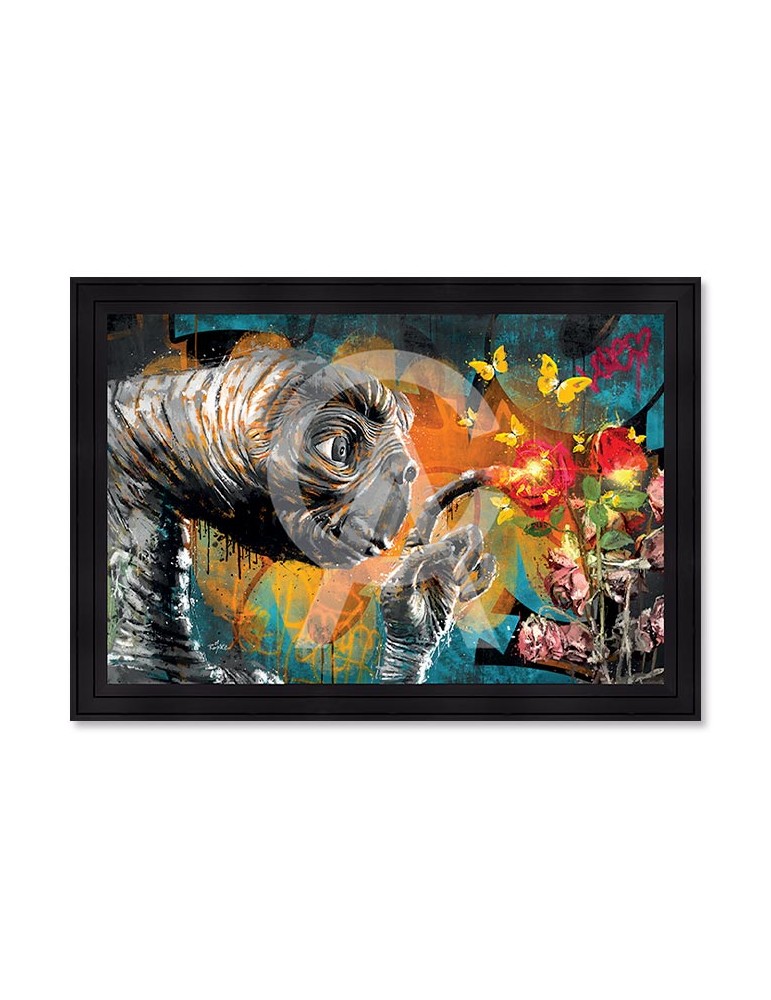 ET et les roses – Romaric