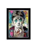 Harry Potter – Romaric