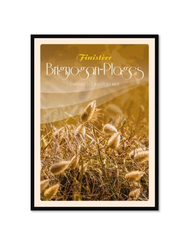 Brignogan-Plages Châtons au bord de mer - Poster affiche – image encadrée