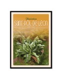Saint-Pôl-De-Léon Choux Fleurs - Poster affiche – image encadrée