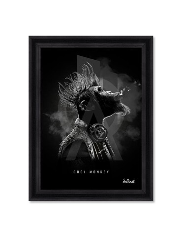 Cool Monkey – Sylvain Binet