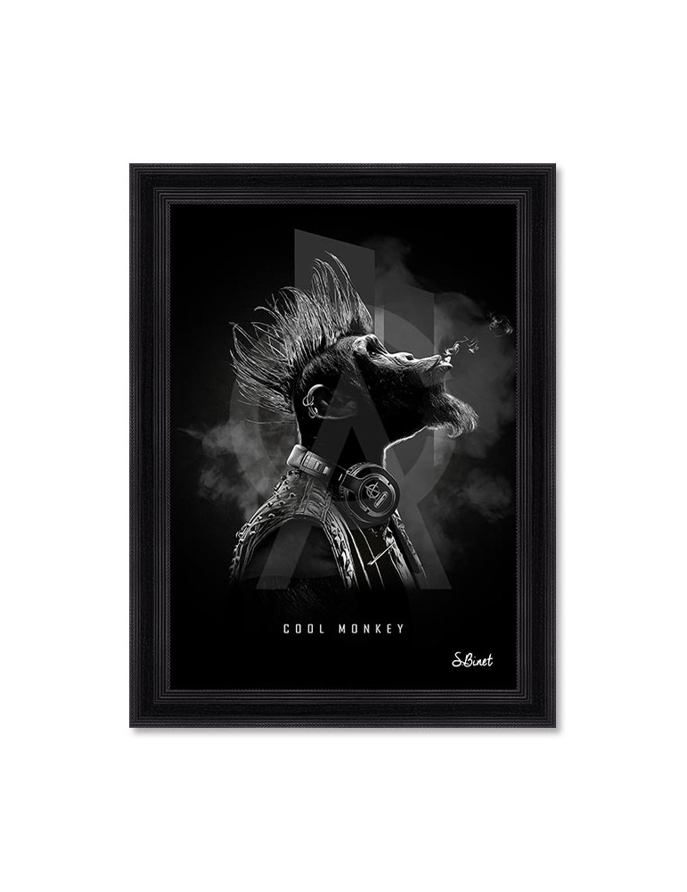 Cool Monkey – Sylvain Binet