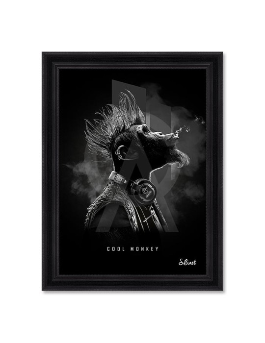 Cool Monkey – Sylvain Binet