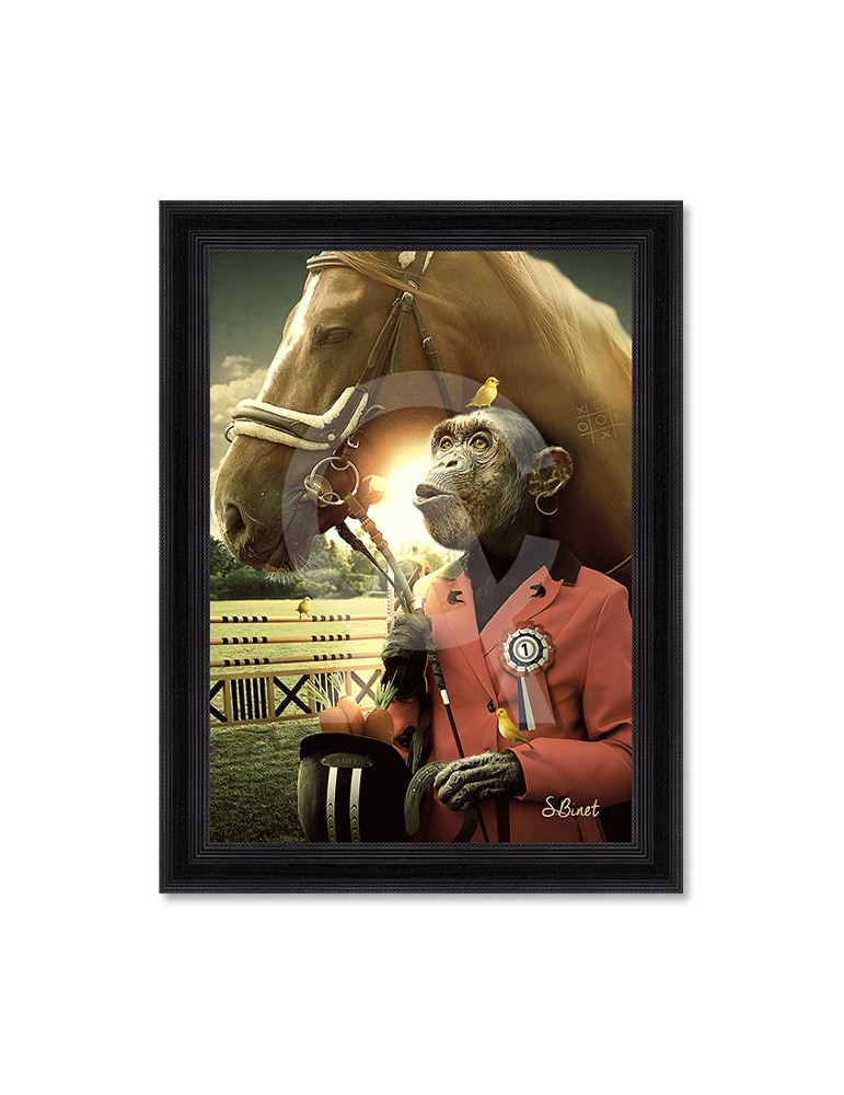 Singe cheval – Sylvain Binet Singe cheval – Sylvain Binet