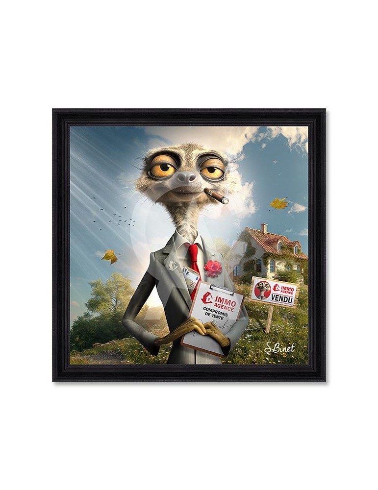 Suricate Immo – Sylvain Binet