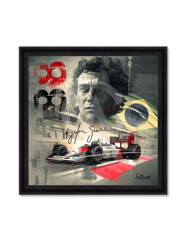 Ayrton Senna – Sylvain Binet