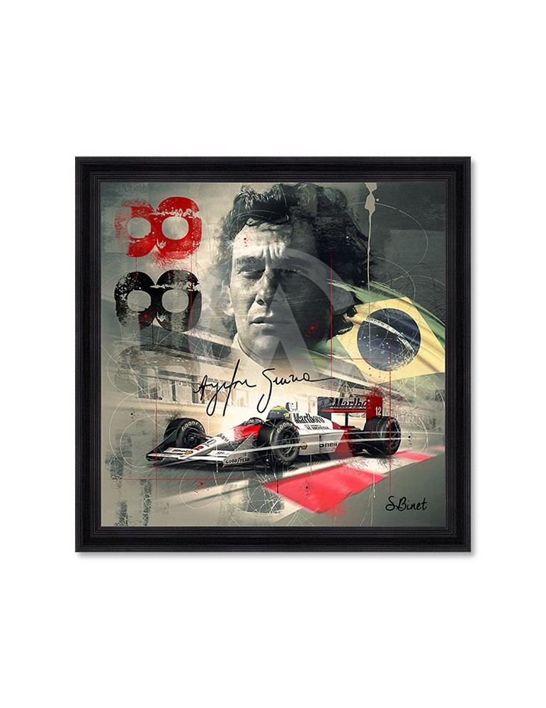 Ayrton Senna – Sylvain Binet