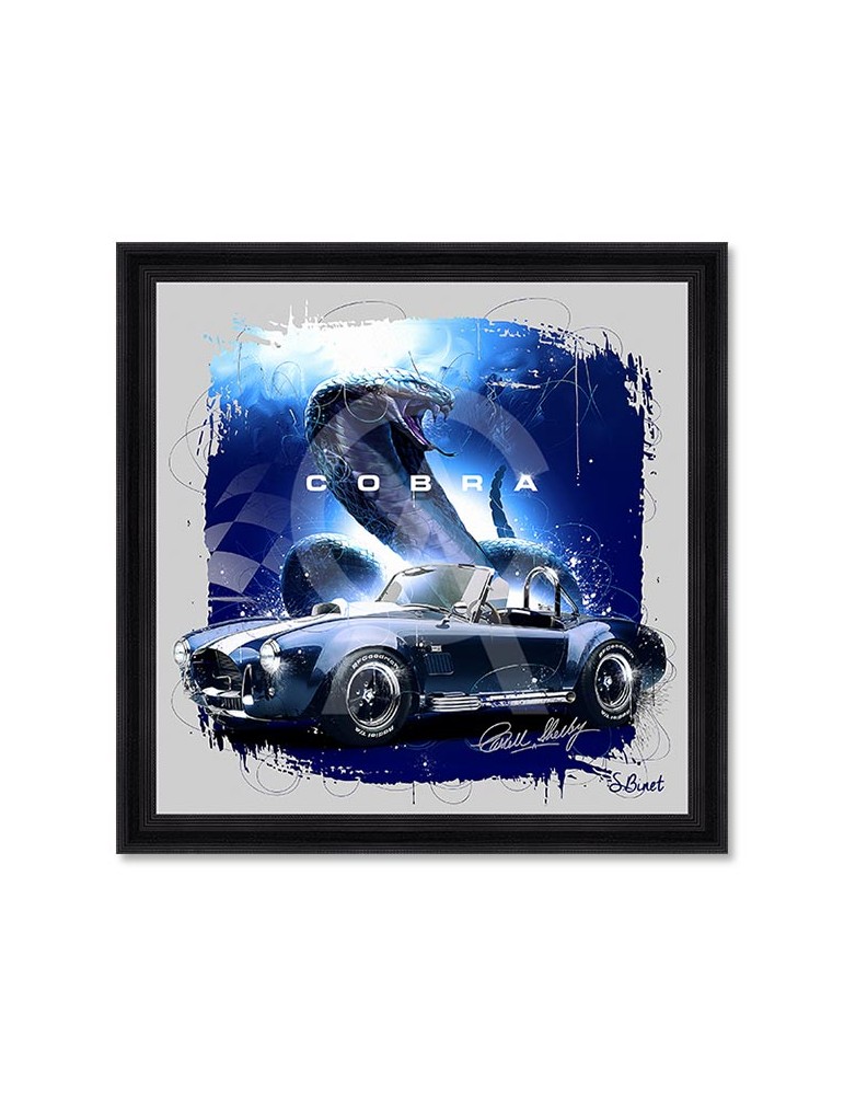 Cobra – Sylvain Binet Cobra – Sylvain Binet