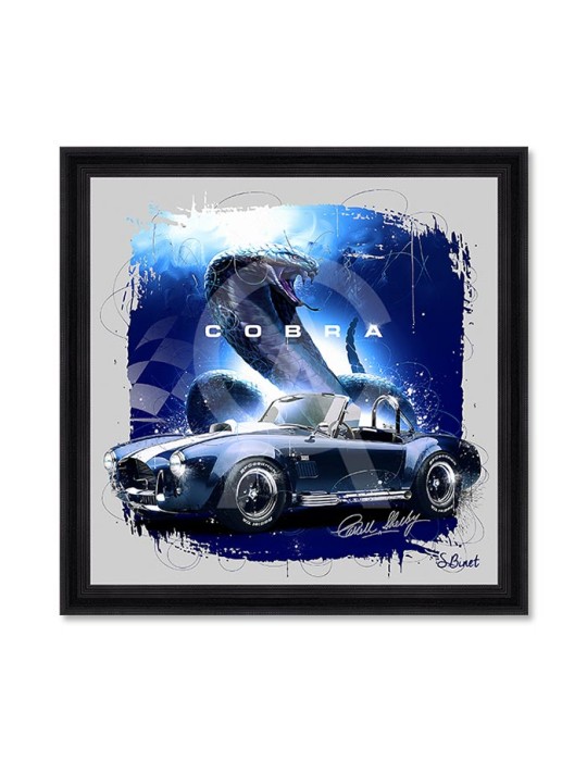 Cobra – Sylvain Binet Cobra – Sylvain Binet