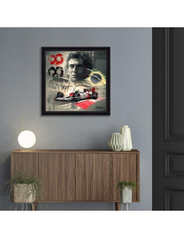 Ayrton Senna – Sylvain Binet 2