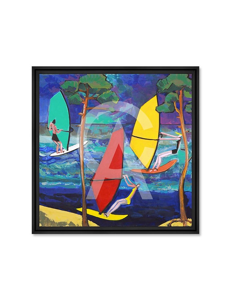 Les Voiles de Contis – Martine Gonnin