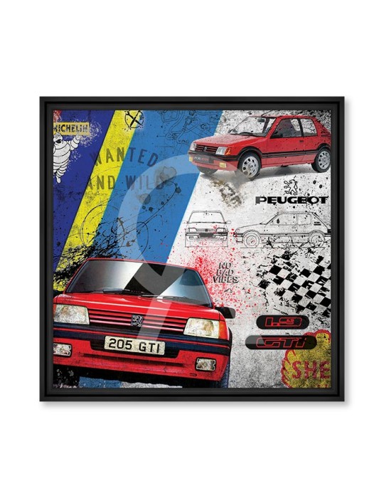 205 GTI 1.9 – Collection Rubix