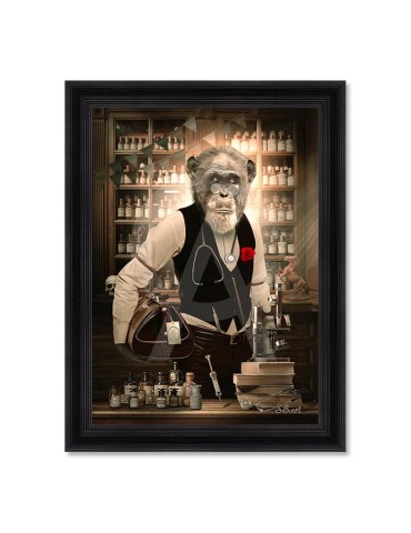 Vintage Docteur – Sylvain Binet