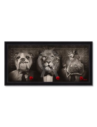 Pano Mafia – Sylvain Binet